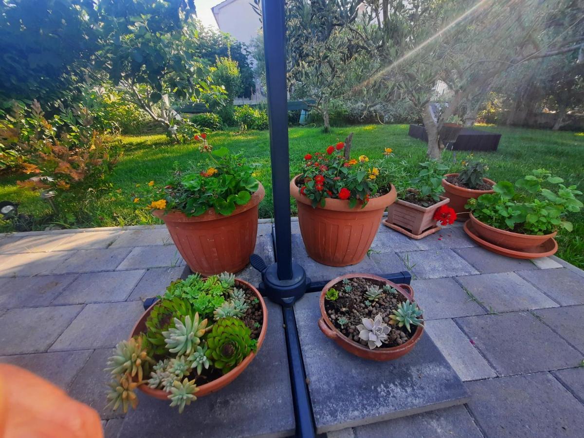 Apartment Noa'S Garden Бибине Екстериор снимка