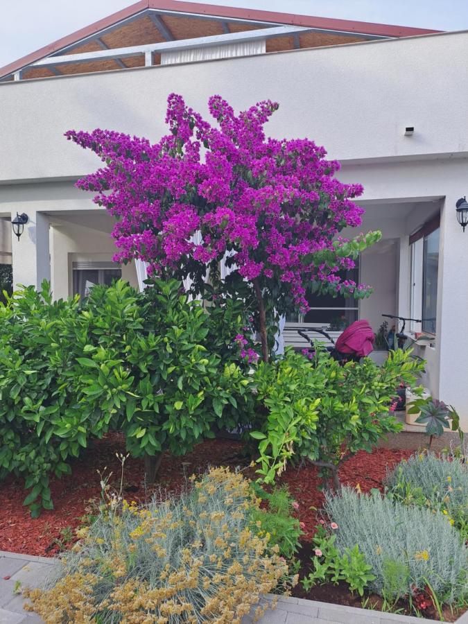 Apartment Noa'S Garden Бибине Екстериор снимка
