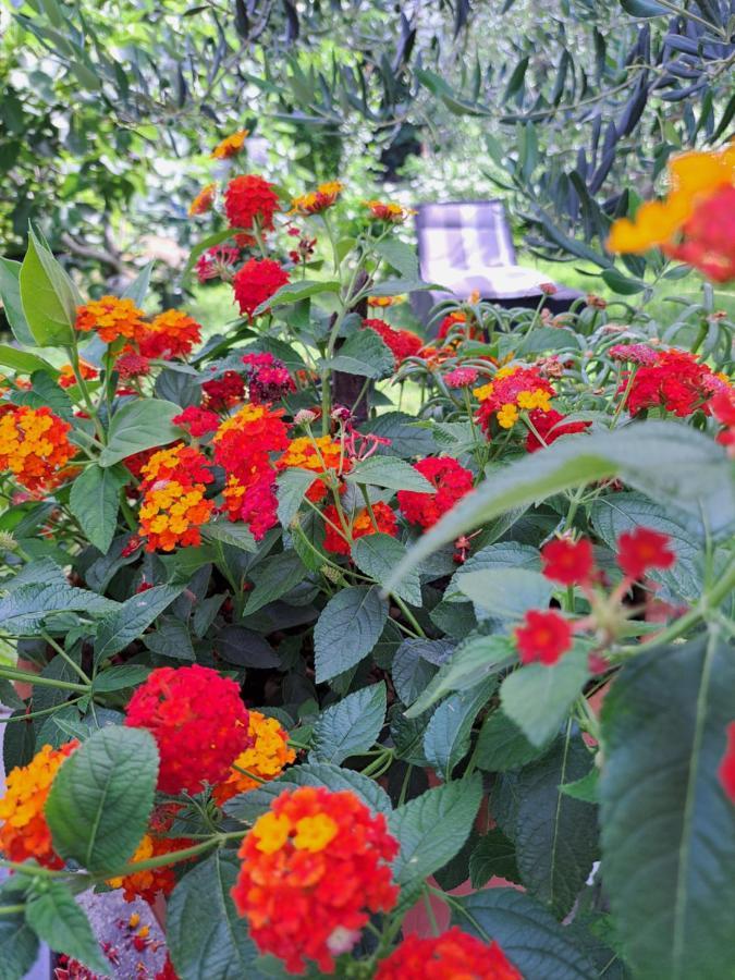 Apartment Noa'S Garden Бибине Екстериор снимка
